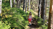 Little girl taking a hike