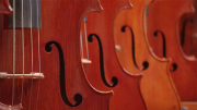 Violins