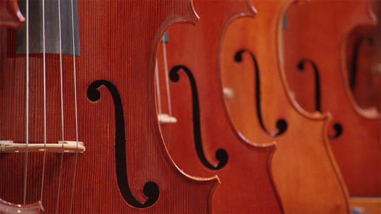 Violins