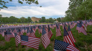 Flag photography by Milton Resident Brian Maclean, madtyphotography.com