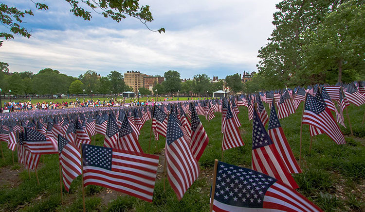 Flag photography by Milton Resident Brian Maclean, madtyphotography.com