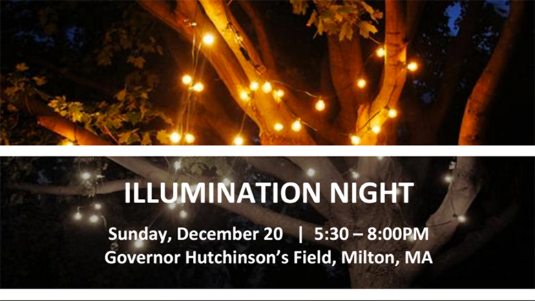 Illumination Night 2015