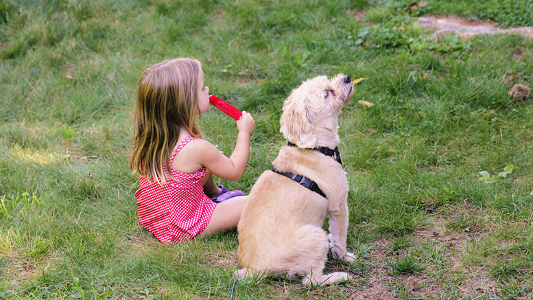 Little girl with a dog in summer. Copyright Melissa Fassel Dunn