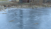 Turner's pond, partially frozen, is unsafe for skating. Photo courtesy Milton Police Department.