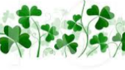 Irish shamrocks