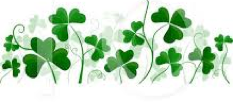 Irish shamrocks