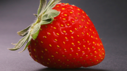 Strawberry festival to take place June 18