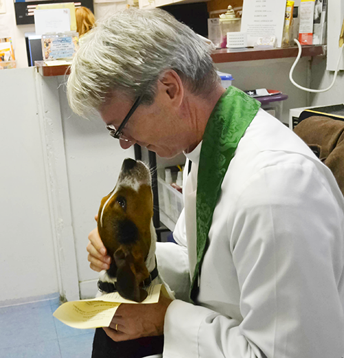 Milton Animal Shelter furry residents blessed in honor of Feast of St. Francis
