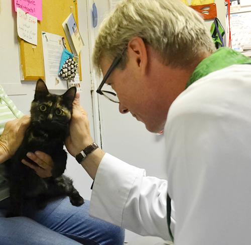 Milton Animal Shelter furry residents blessed in honor of Feast of St. Francis