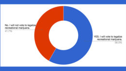 Poll Results: How will you vote on Question 4 (Legalization, regulation and taxation of marijuana)?