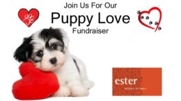 You and your pup are invited to a Yappy Hour fundraiser!
