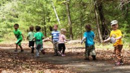 A group of children walking down a path in the woods.