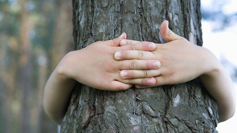 Tree hugging