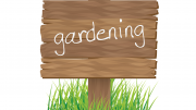 gardening / yard work