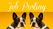 Job Posting: Office Manager at Comfy Cozy Pet Sitting