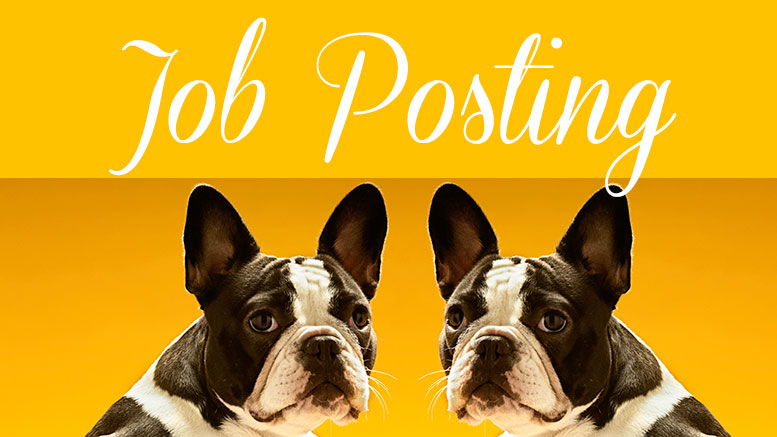 Job Posting: Office Manager at Comfy Cozy Pet Sitting