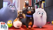 Secret Life of Pets