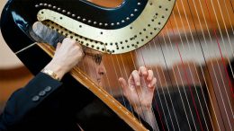 Parkway Orchestra harp