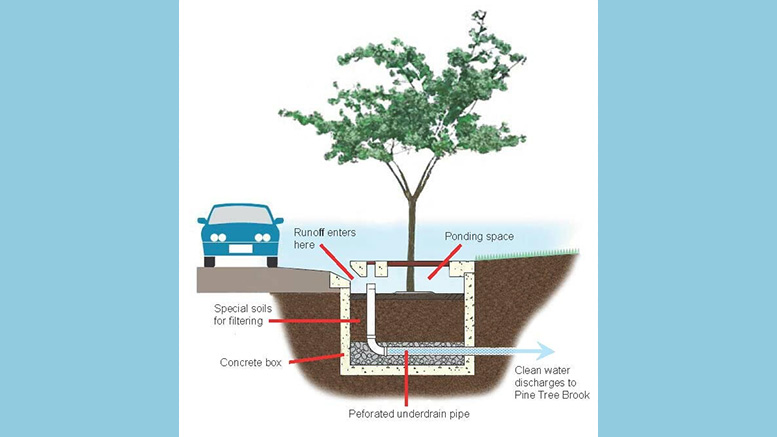 Wendell Park in Milton To Get Major Stormwater Upgrades