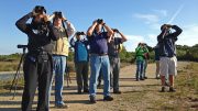 Bird-a-Thon Participators