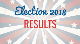 Vote today - election results 2018