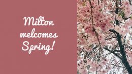 Milton embraces the arrival of spring at his gallery.