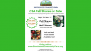 CSA fall shares