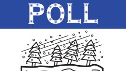 POLL: Do you contract with a business for snow removal? Or is it a DYI thing?