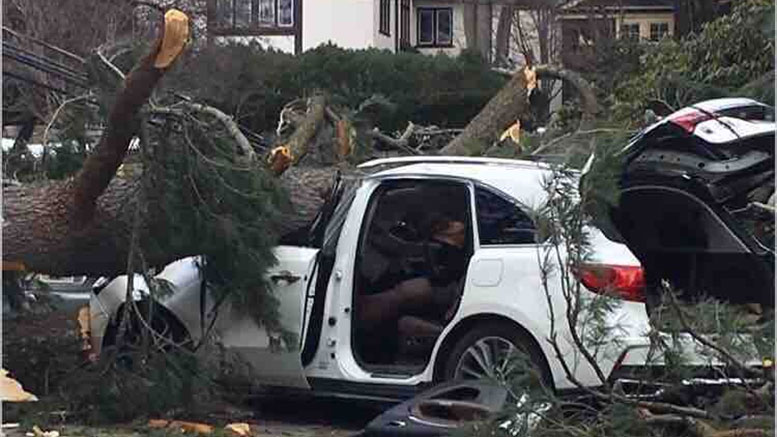 Milton MA Crash from tree / storm 2019
