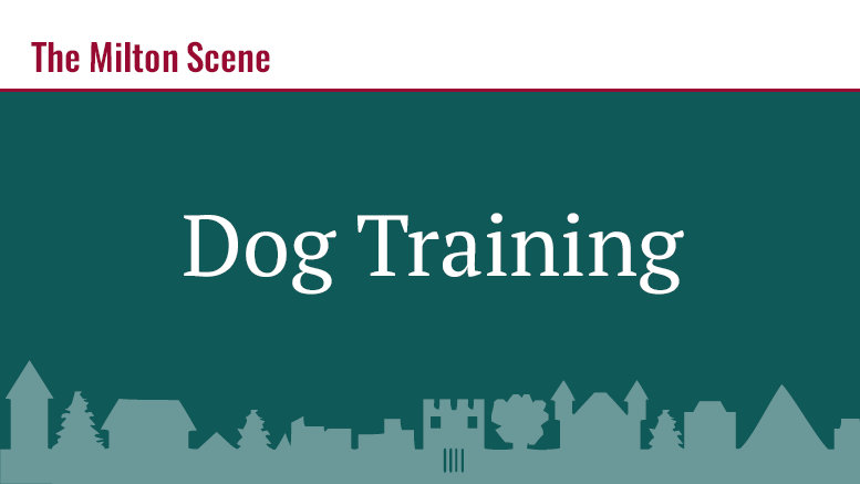 dog-training-0519