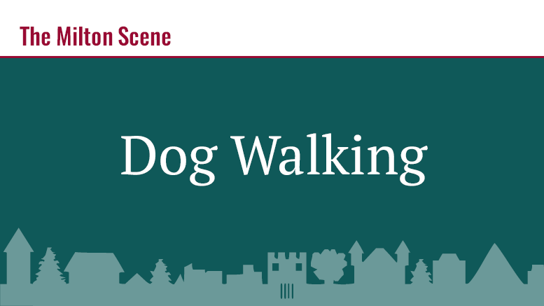 dog-walking-0519