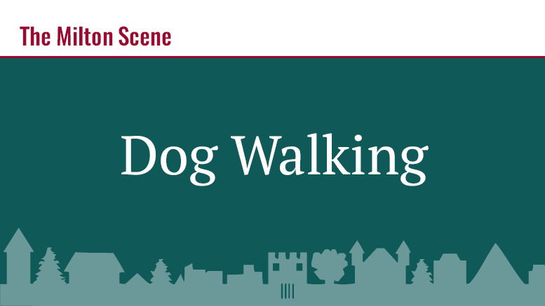 Big Al’s Dog Walking - The Milton Scene