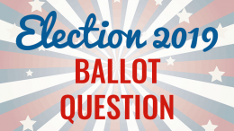 Election 2019 ballot question
