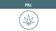 marijuana poll