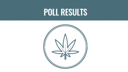 marijuana poll