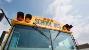 School bus windshield