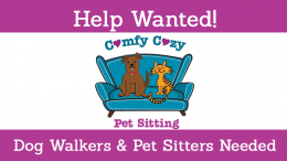 comfy cozy pet sitting job posting