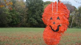 Halloween at Hutchinson's field