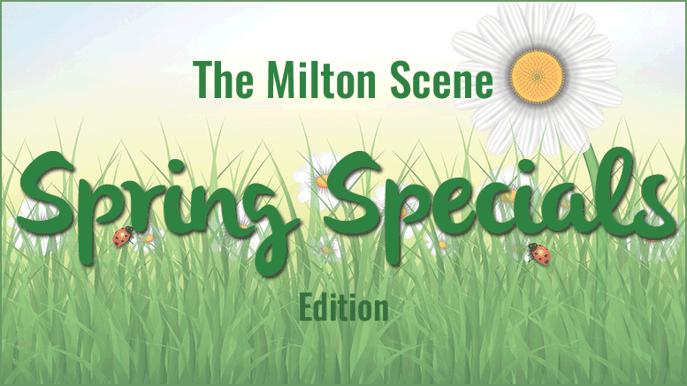 Spring Specials Edition