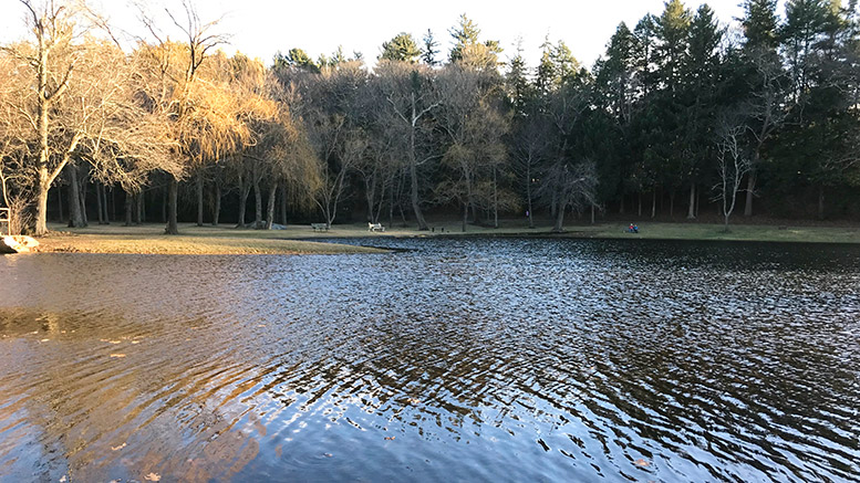 Cunningham Park pond