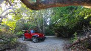 red jeep