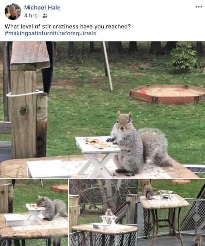 Milton resident builds patio furniture for squirrels to keep busy during quarantine