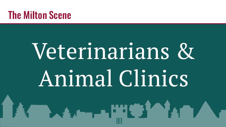 veterinarians-animal-clinics-0519