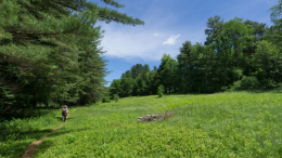 Mass Audubon Trails Open