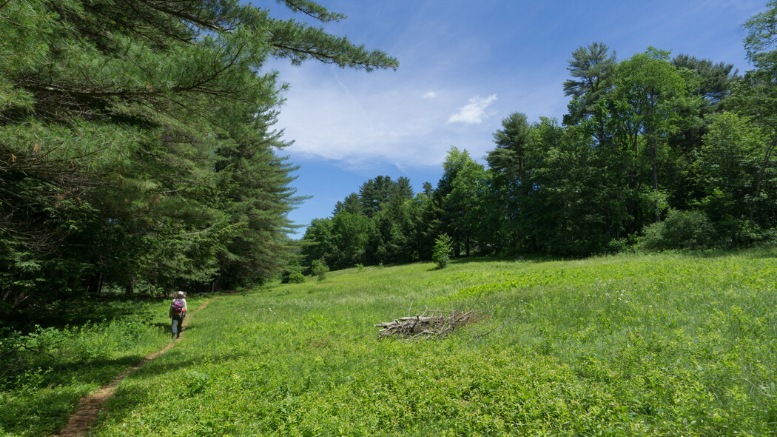 Mass Audubon Trails Open