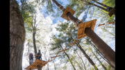 TreeTop Summer Social Distancing Activities