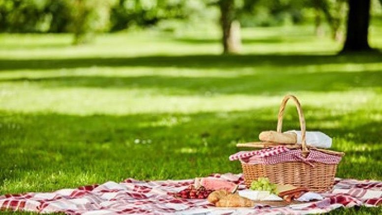 picnic