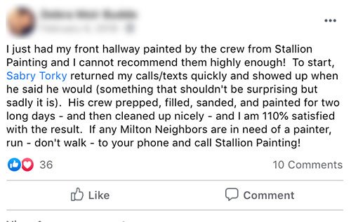 Stallion painting reviews in milton neighbors