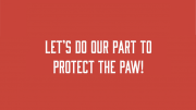 Superintendent Jette releases updates for week of October 1,2020 to protect the paw.