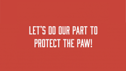 Superintendent Jette releases updates for week of October 1,2020 to protect the paw.